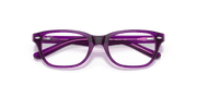 Clear Lenses, Polished Violet On Fuxia Fluo Frame