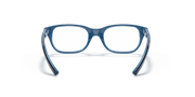 Clear Lenses, Polished Blue Frame