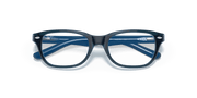 Clear Lenses, Polished Blue Frame