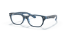 [Clear Lenses, Polished Blue Frame]