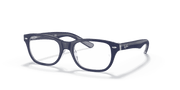 Clear Lenses, Polished Blue On Transparent Frame