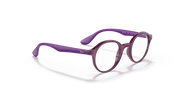 Clear Lenses, Polished Transparent Fuxia Frame