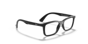 Clear Lenses, Polished Black Frame