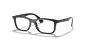 Clear Lenses, Polished Black Frame