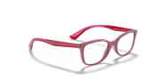 Clear Lenses, Polished Transparent Red Frame