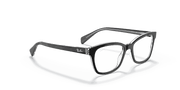 Clear Lenses, Polished Black On Transparent Frame