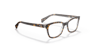 Clear Lenses, Polished Havana On Transparent Frame