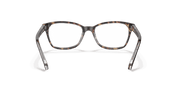 Clear Lenses, Polished Havana On Transparent Frame