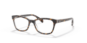 Clear Lenses, Polished Havana On Transparent Frame