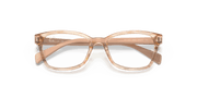 Clear Lenses, Polished Brown Striped Multicolor Frame