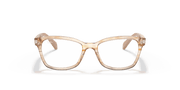 Clear Lenses, Polished Brown Striped Multicolor Frame