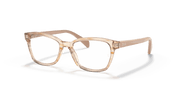 Clear Lenses, Polished Brown Striped Multicolor Frame