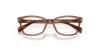 [Clear Lenses, Polished Transparent Brown Frame]