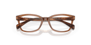 Clear Lenses, Polished Transparent Brown Frame