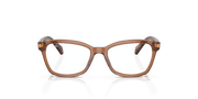 Clear Lenses, Polished Transparent Brown Frame