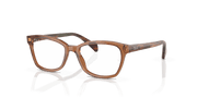 Clear Lenses, Polished Transparent Brown Frame