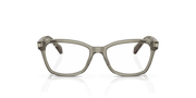 Clear Lenses, Polished Transparent Green Frame