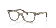 Clear Lenses, Polished Transparent Green Frame