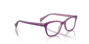 Clear Lenses, Polished Top Purple & Pink & Beige Frame