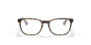 Clear Lenses, Polished Havana On Transparent Frame