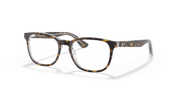 Clear Lenses, Polished Havana On Transparent Frame