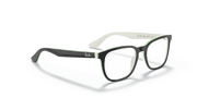 Clear Lenses, Polished Black On White Frame