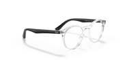 Clear Lenses, Polished Transparent Frame