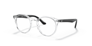 Clear Lenses, Polished Transparent Frame