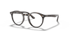 [Clear Lenses, Polished Havana Frame]