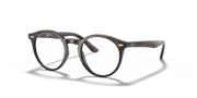 Clear Lenses, Polished Havana Frame