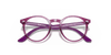 [Clear Lenses, Polished Transparent Fuxia Frame]