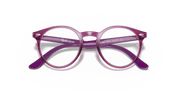 Clear Lenses, Polished Transparent Fuxia Frame