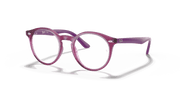 Clear Lenses, Polished Transparent Fuxia Frame