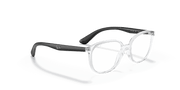 Clear Lenses, Polished Transparent Frame