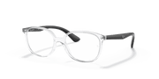 Clear Lenses, Polished Transparent Frame