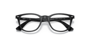 Clear Lenses, Polished Black Frame