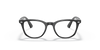 [Clear Lenses, Polished Black Frame]