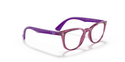 Clear Lenses, Polished Transparent Fuxia Frame