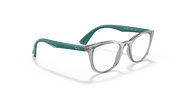 Clear Lenses, Polished Transparent Grey Frame