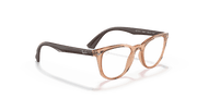 Clear Lenses, Polished Transparent Brown Frame