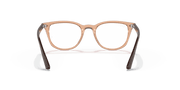 Clear Lenses, Polished Transparent Brown Frame