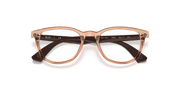 Clear Lenses, Polished Transparent Brown Frame