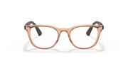 Clear Lenses, Polished Transparent Brown Frame