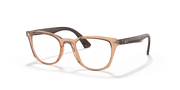 Clear Lenses, Polished Transparent Brown Frame