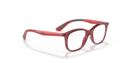 Clear Lenses, Polished Transparent Red Frame