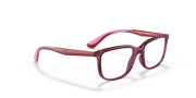 Clear Lenses, Polished Transparent Pink Frame