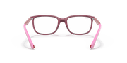 Clear Lenses, Polished Transparent Pink Frame