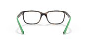 Clear Lenses, Polished Havana Frame