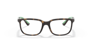 Clear Lenses, Polished Havana Frame