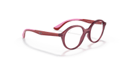 Clear Lenses, Polished Transparent Pink Frame